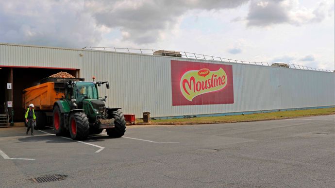Pommes de terre d’industrie : Mousline revoit à la baisse ses contrats