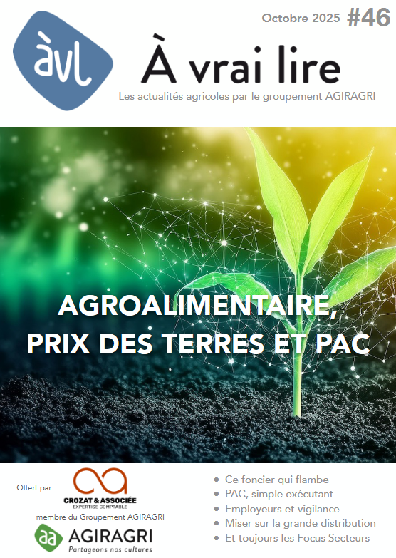 N°46 – Octobre 2025