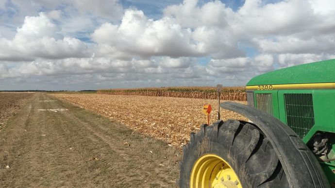 Récolte 2025 : « une situation particulièrement alarmante » pour les producteurs de maïs grain
