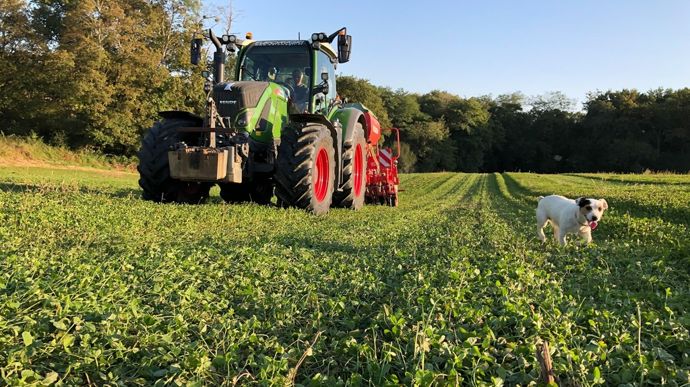 Associer les cultures : une stratégie gagnante contre les bioagresseurs