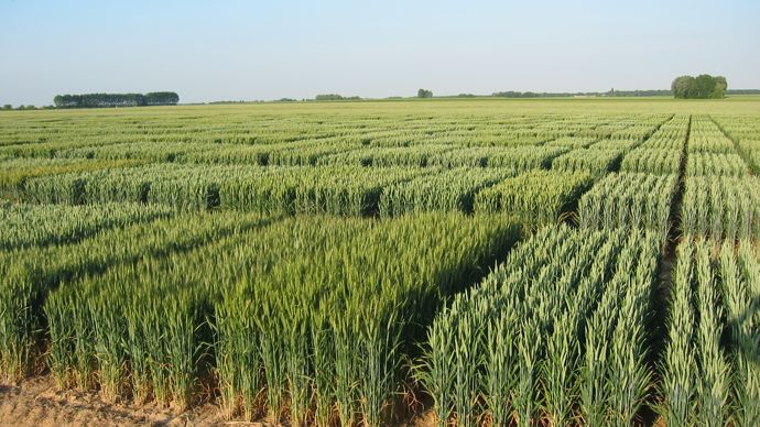 L’Union européenne trouve un accord sur les NGT