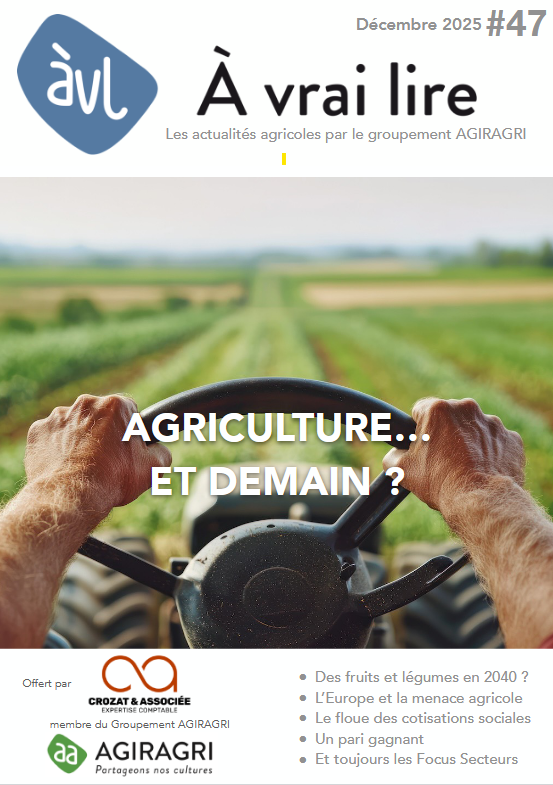 N°47 – Décembre 2025