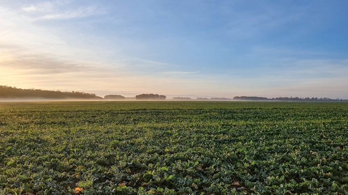 Contrat de solutions : 7 ans d’engagement pour réduire le recours aux produits phytos