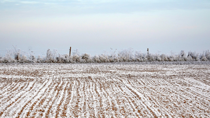 Les cultures françaises abordent l’hiver dans de bonnes conditions
