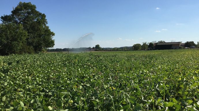 Où en est-on des projets régionaux de développement des protéines végétales ?