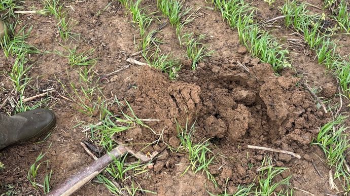 ACS : Quelles analyses technico-économiques réaliser pour améliorer la rentabilité de son exploitation ?