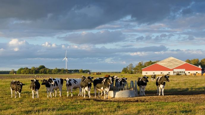 Valeur des terres agricoles à horizon 2100 : le nord de l&rsquo;Europe tire son épingle du jeu
