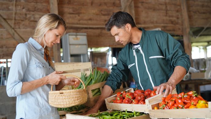 Les activités commerciales au sein des sociétés civiles agricoles
