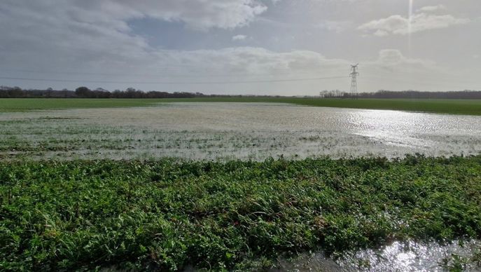 De fortes pluies, voire de la neige sur le nord de la France, au passage de la tempête Pedro