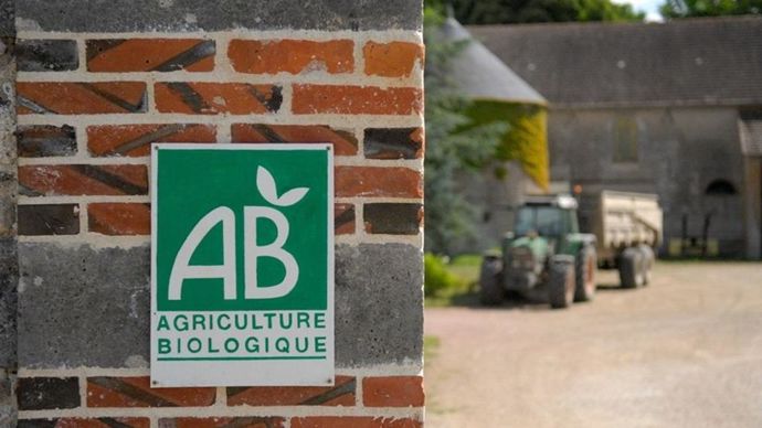 Le nombre de fermes en bio a baissé pour la première fois en 2025