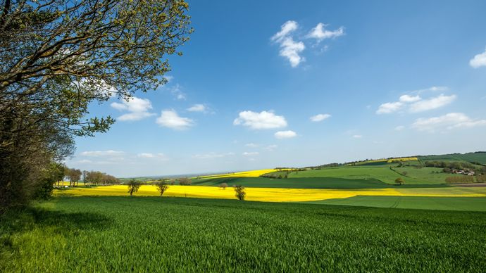 Trois agriculteurs français face à la guerre au Moyen-Orient