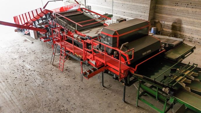 Downs lance le tri optique assisté par l’IA pour les betteraves rouges non lavées