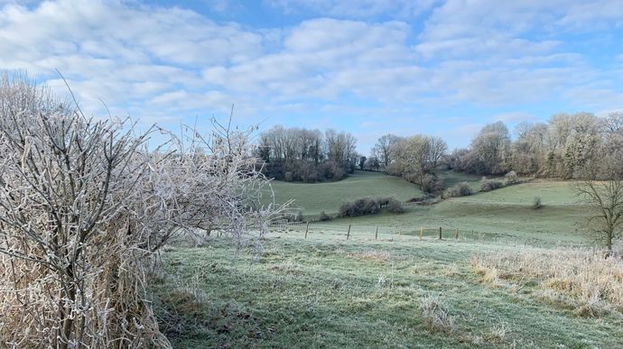 Après un temps printanier, c’est le retour brutal du froid