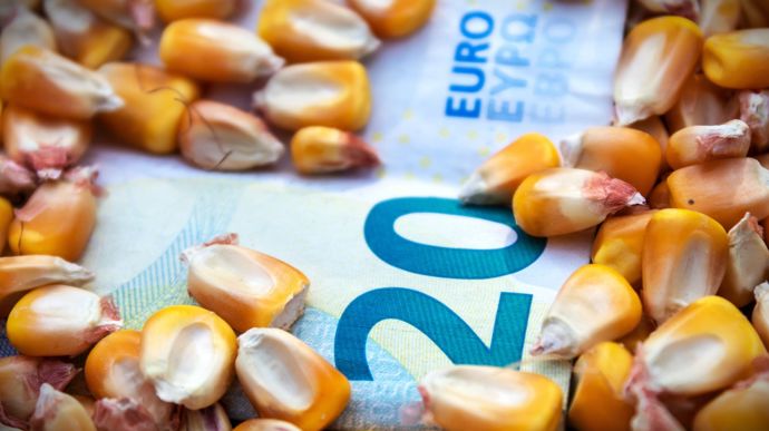 Marché mondial du maïs : les 10 facteurs clés qui influencent les prix