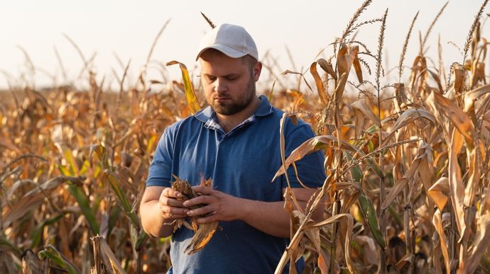 Nette baisse des installations agricoles, surtout chez les plus de 40 ans