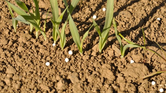 D&rsquo;une guerre à l&rsquo;autre, la tenace dépendance européenne aux engrais