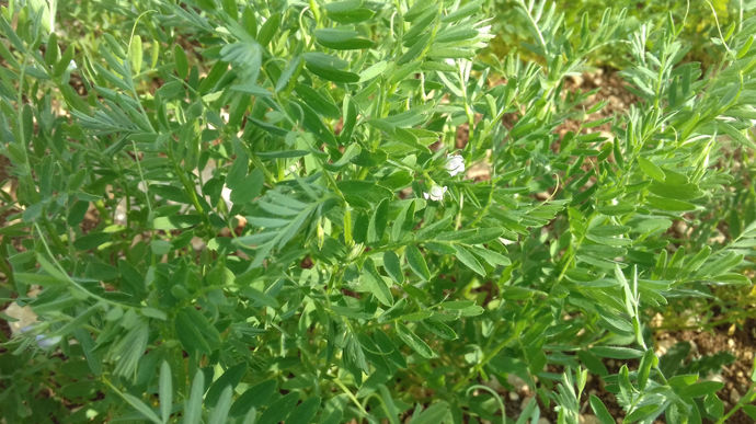 Gérer sa commercialisation pour gagner en autonomie et rentabilité