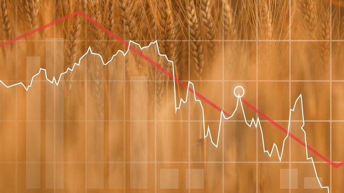 « Détente attendue » des prix des céréales après l’annonce du cessez-le-feu