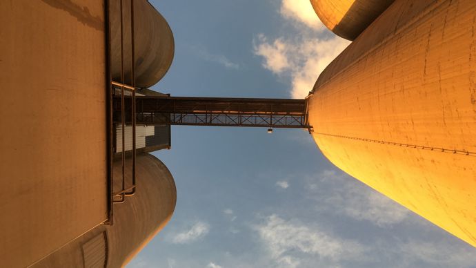 Marchés agricoles : les préoccupations climatiques reprennent (presque) le dessus