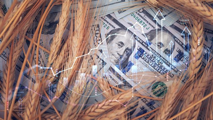 Les cours des céréales ballottés par le pétrole, les huiles soutenues par le biodiesel