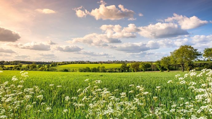 Des conditions anticycloniques pour la fin de la semaine