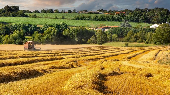 Le marché des terres et prés repart à la hausse en 2025