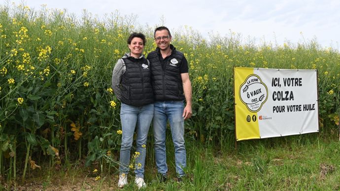 À la ferme Ô Vaux, les IFT divisés par deux sur blé et colza