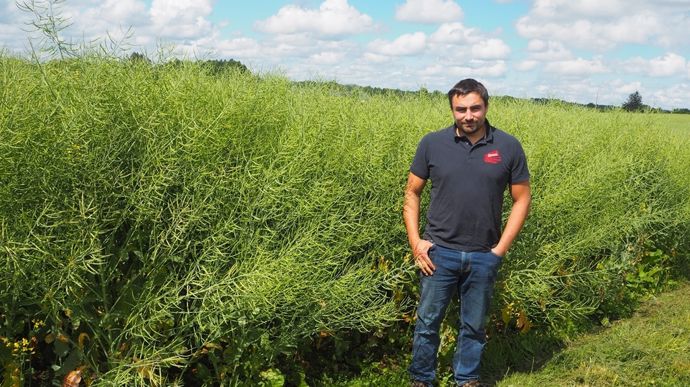 Romain Prodel reprend la main sur la commercialisation de son colza et de son tournesol