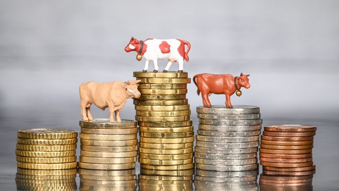 Rémunération : les agriculteurs privilégient-ils capitalisation ou revenu ?