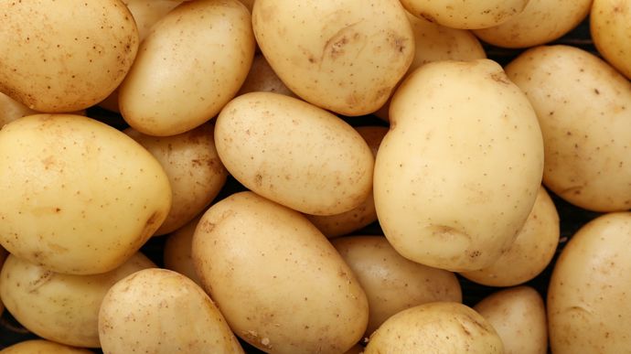 Pommes de terre : la filière s’organise pour gérer les stocks records de 2025