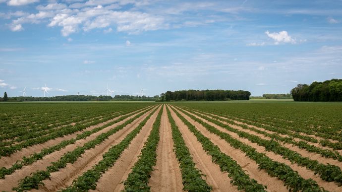 Un outil d’analyse de contrats pour les producteurs de pommes de terre