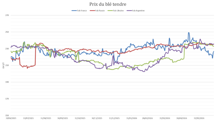 Le blé français gagne rapidement en compétitivité