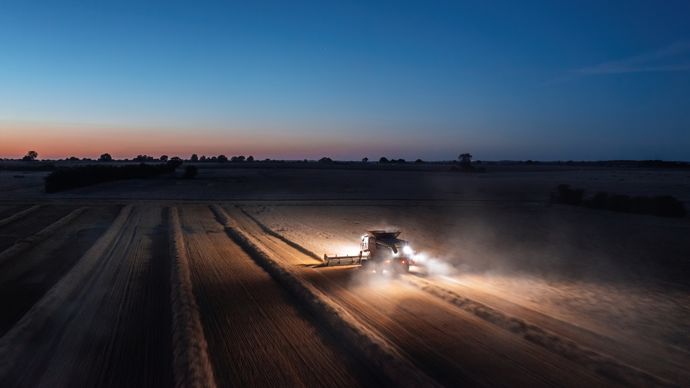 Moisson la nuit, blés trop secs, maïs en souffrance… les agriculteurs face à une canicule historique