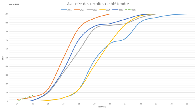 FranceAgriMer abaisse nettement ses notations de maïs grain