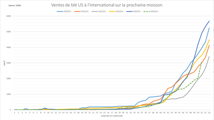 Les ventes américaines de blé gagnent en intensité
