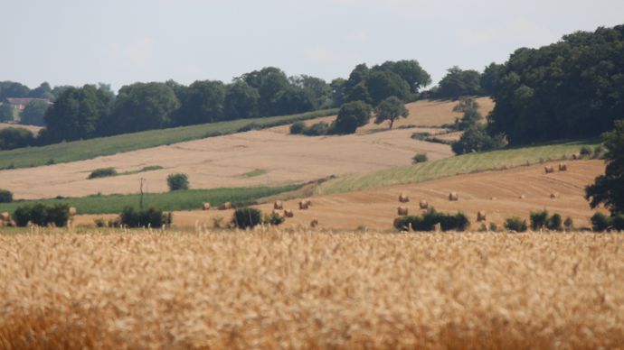 Eau, loup, phytos… Ce que contient le projet de loi d’urgence agricole