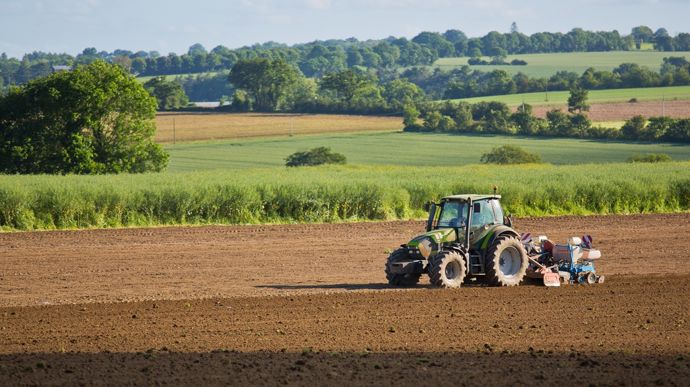 Plus productive, mais pas plus rentable : le paradoxe de l’agriculture française depuis 1960