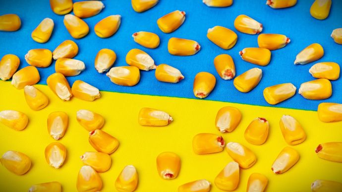 Avec un maïs 2,7 fois moins cher à produire, l&rsquo;entrée de l&rsquo;Ukraine dans l&rsquo;UE inquiète