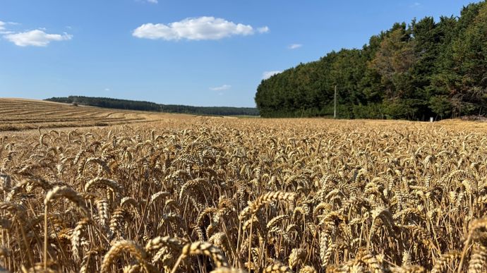 Les résultats 2026 en direct du terrain avec Moisson Live