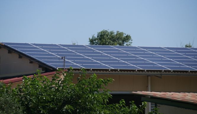 Photovoltaïque et agrivoltaïsme : des organisations dénoncent un coût d&rsquo;arrêt porté aux projets du monde agricole