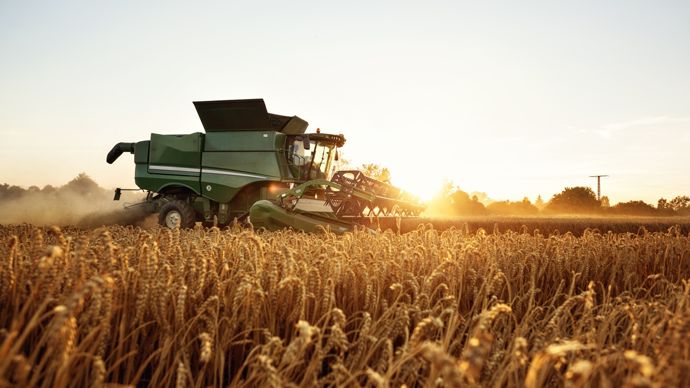 En Allemagne aussi la récolte de céréales est en baisse