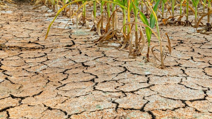 Sécheresse : le commissaire européen veut rassurer les agriculteurs