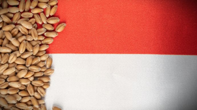 Céréales et colza en Pologne : une récolte 2026 sous pression