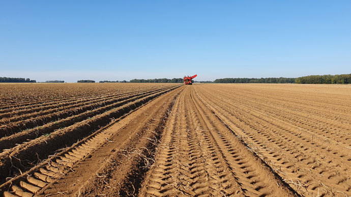 Les estimations de rendements en pommes de terre 2026 par département