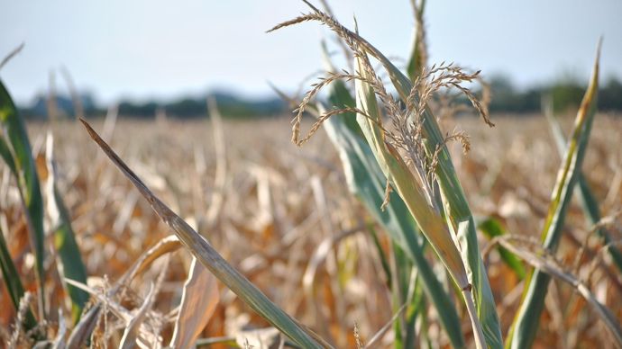 L&rsquo;agriculture a besoin de « milliards » d&rsquo;euros, selon le président de la FNSEA