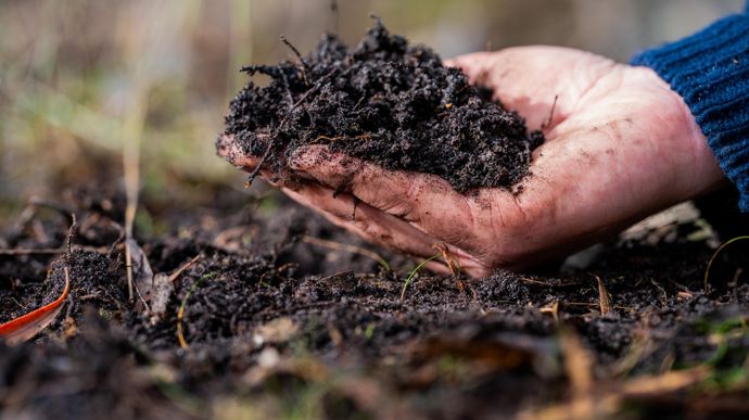 Crédits carbone : quatre agriculteurs racontent ce qui fonctionne… et ce qui bloque