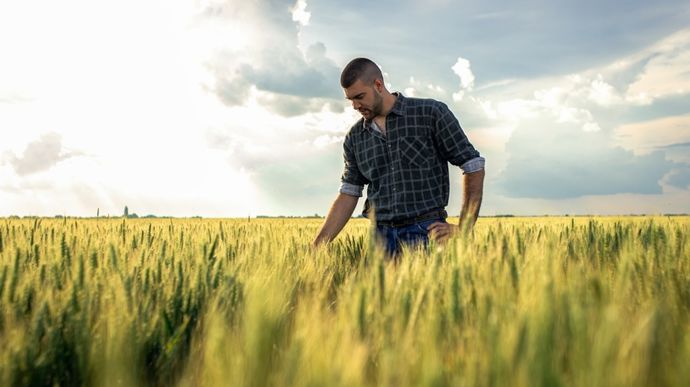 Dans les coulisses des comités Safer qui attribuent les terres agricoles
