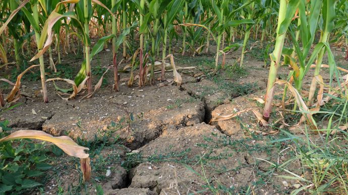 L’effort consenti par le gouvernement pour l’agriculture est « colossal » vu le contexte budgétaire