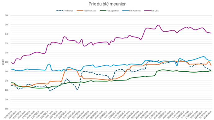 Le blé français reste compétitif en Égypte et au Maroc