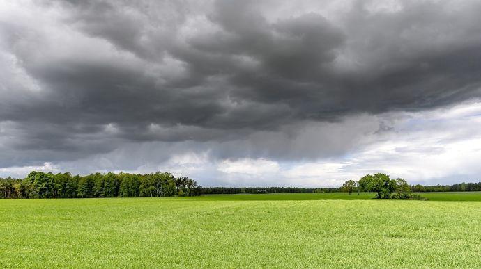 Les semis français pourraient profiter de pluies favorables